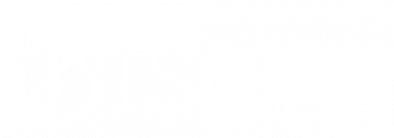 Bisani Logo DJ Producer